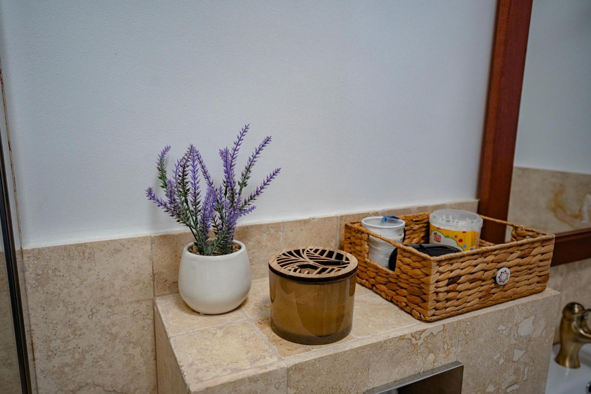 Apartamentul Cetatii Alba Iulia Zewnętrze zdjęcie